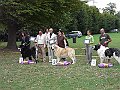 img 250